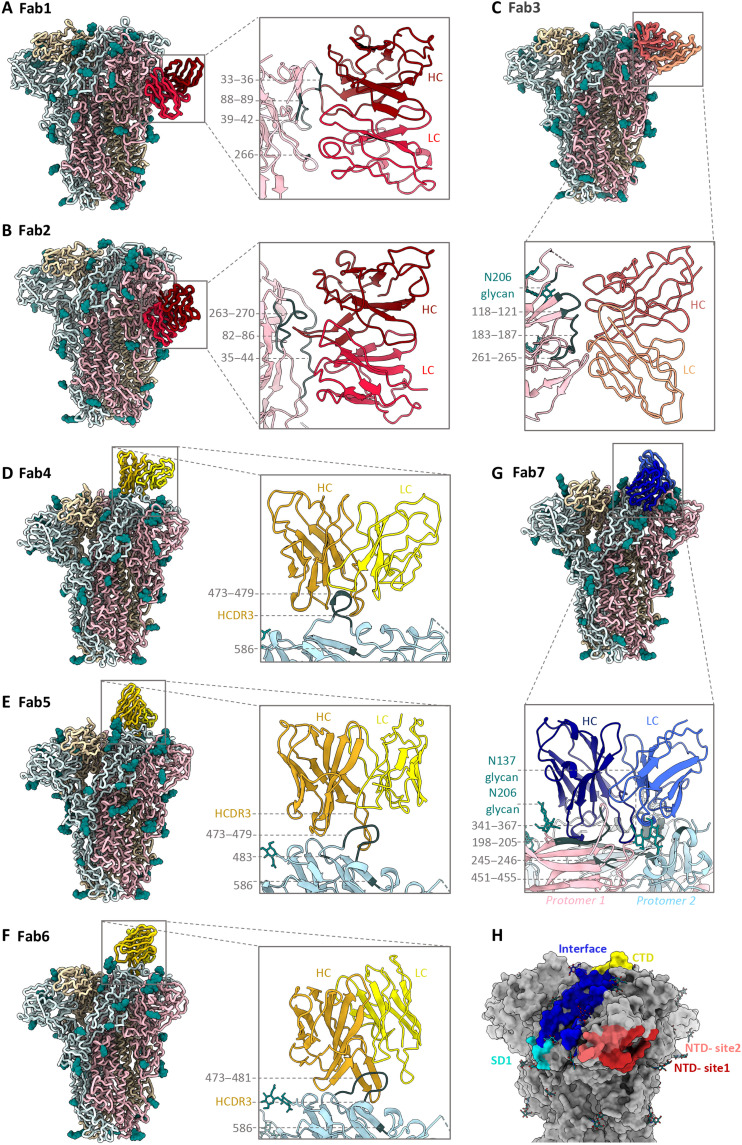 Fig. 3.