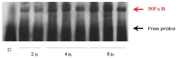 Figure 5.