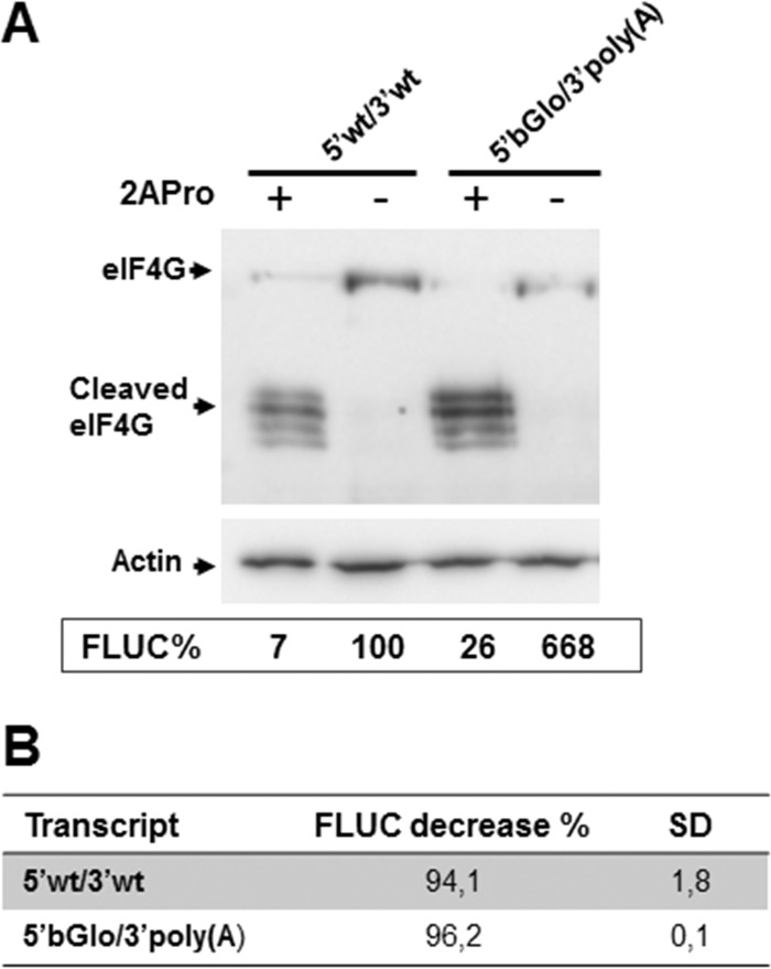 FIG 6