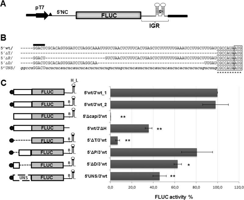 FIG 1