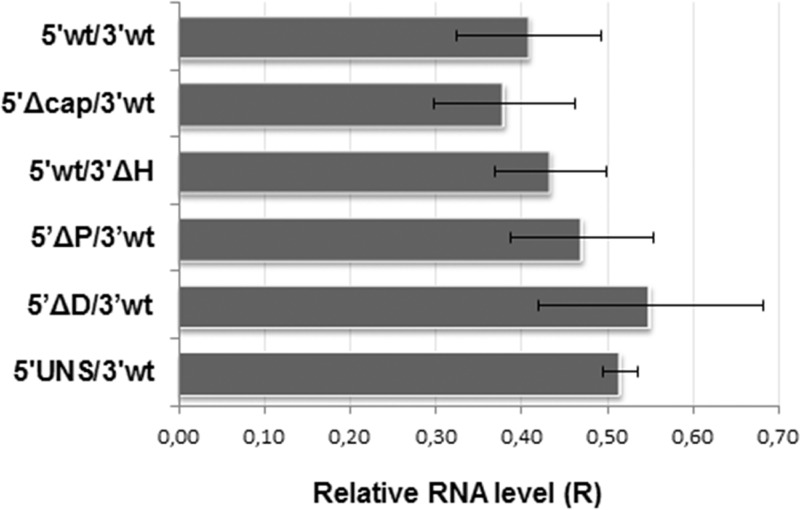 FIG 2