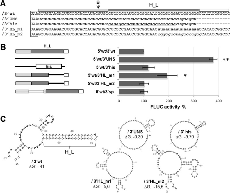 FIG 4