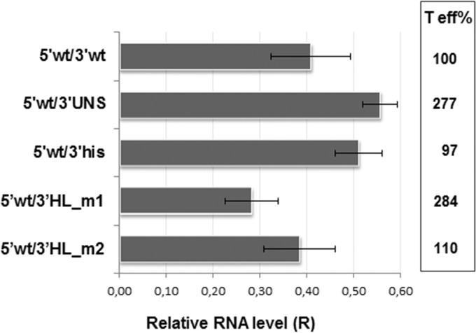 FIG 5