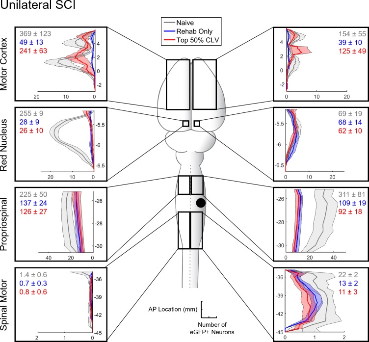 Figure 2—figure supplement 5.