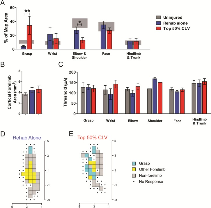 Figure 2—figure supplement 4.