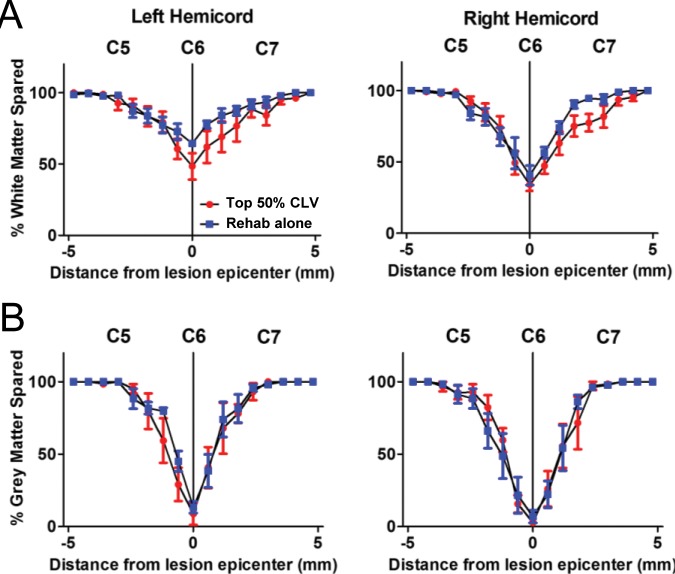 Figure 4—figure supplement 1.