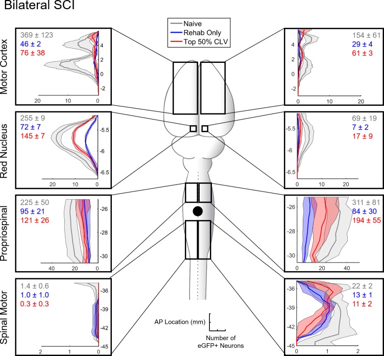 Figure 4—figure supplement 3.