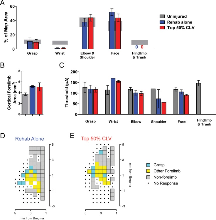 Figure 4—figure supplement 4.