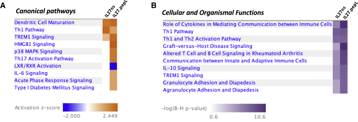 Figure 6