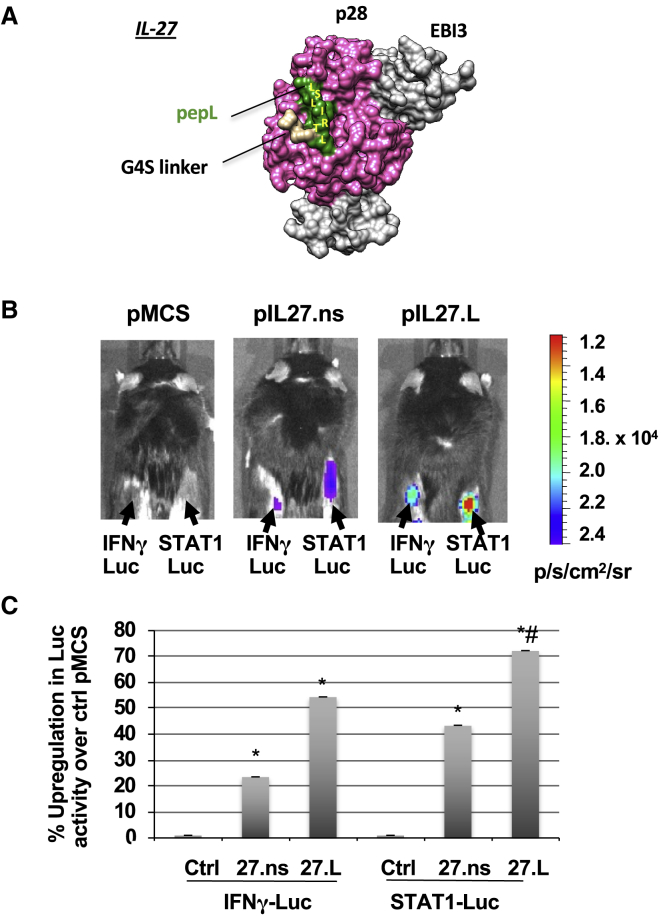 Figure 3