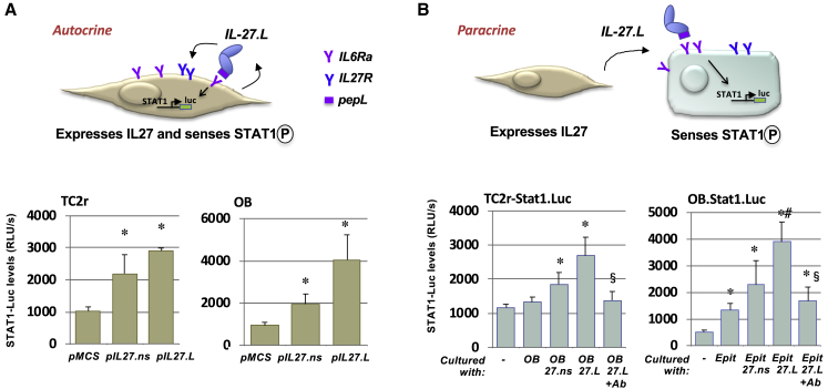 Figure 4