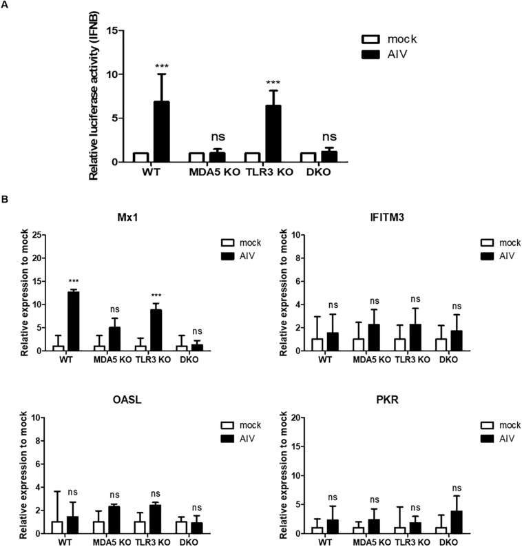 FIGURE 6