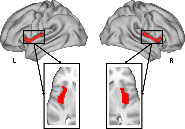 Figure 5—figure supplement 1.