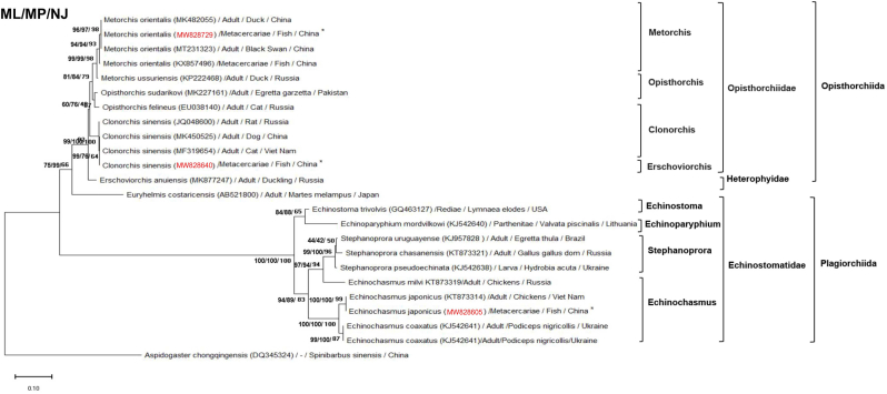 Fig. 3