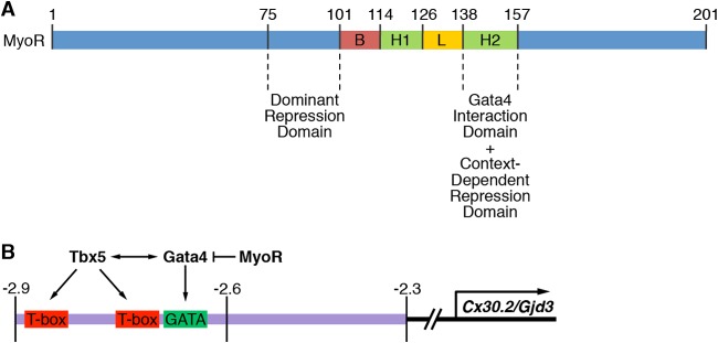 FIG 8