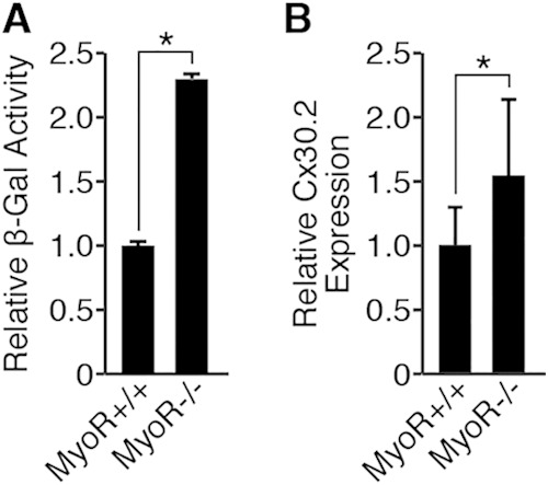 FIG 6