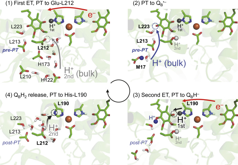 Fig. 6.