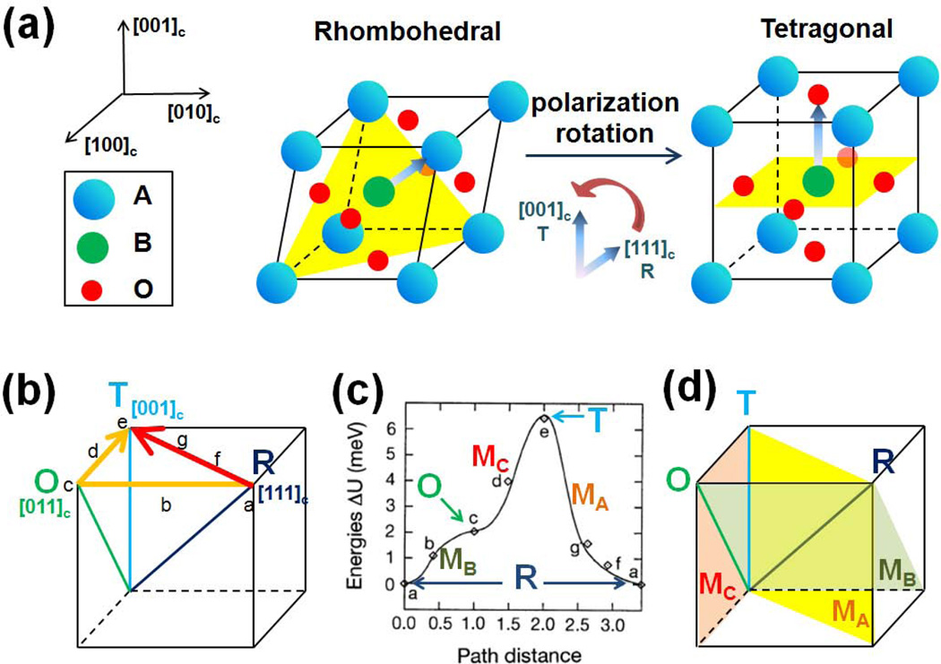 Figure 31