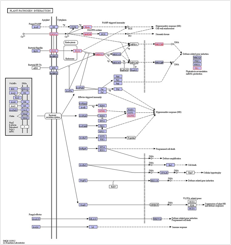 Fig 5