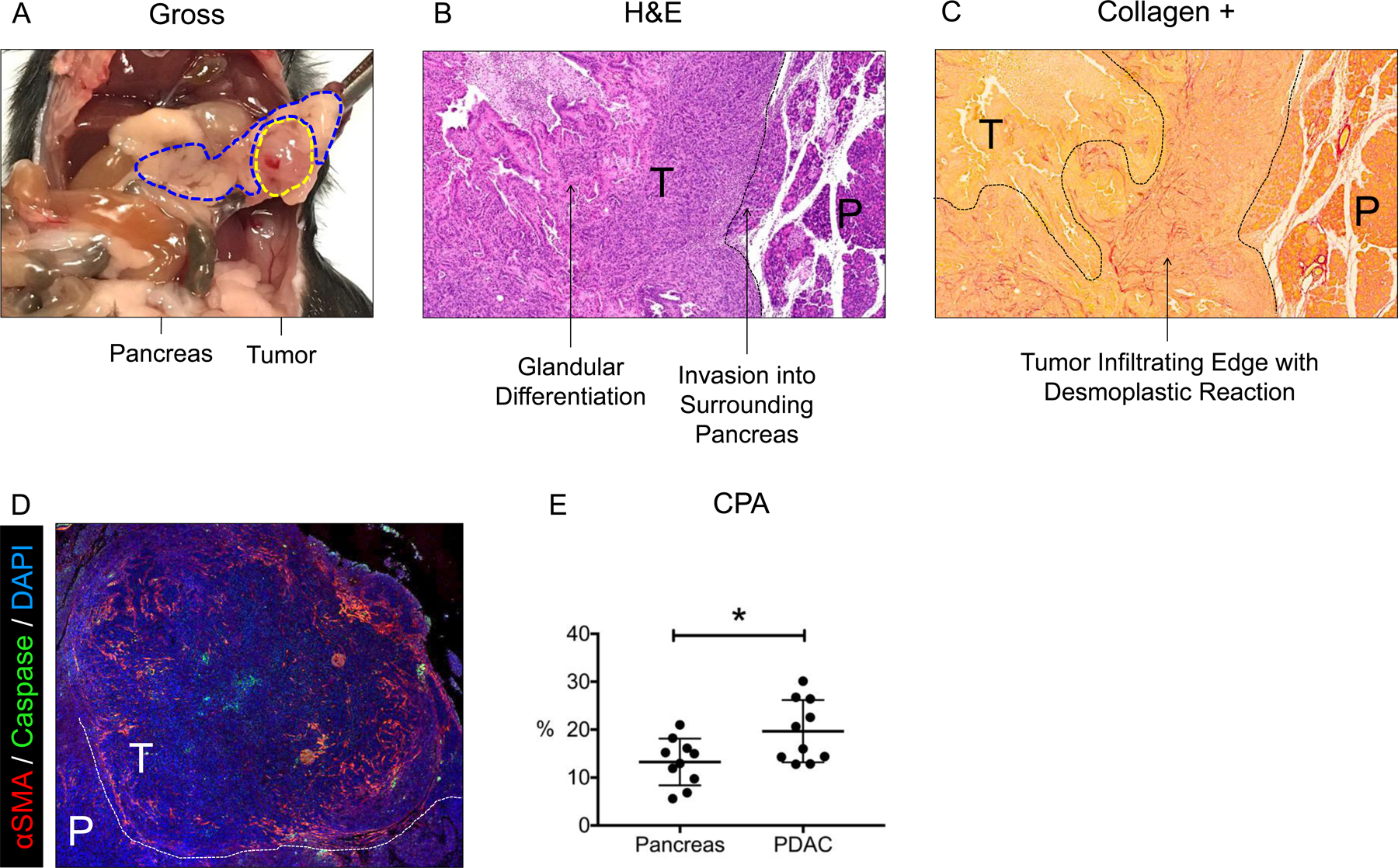 Figure 2: