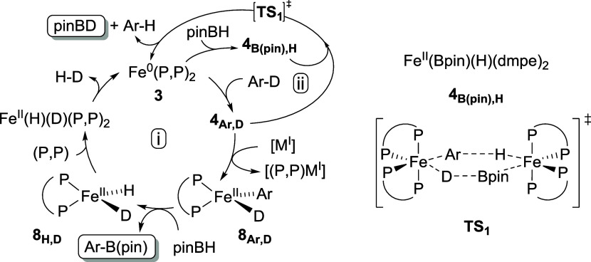 Scheme 5