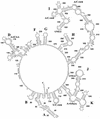 FIG. 1.
