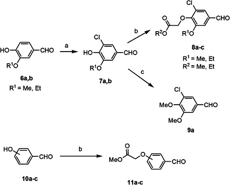 Scheme 2