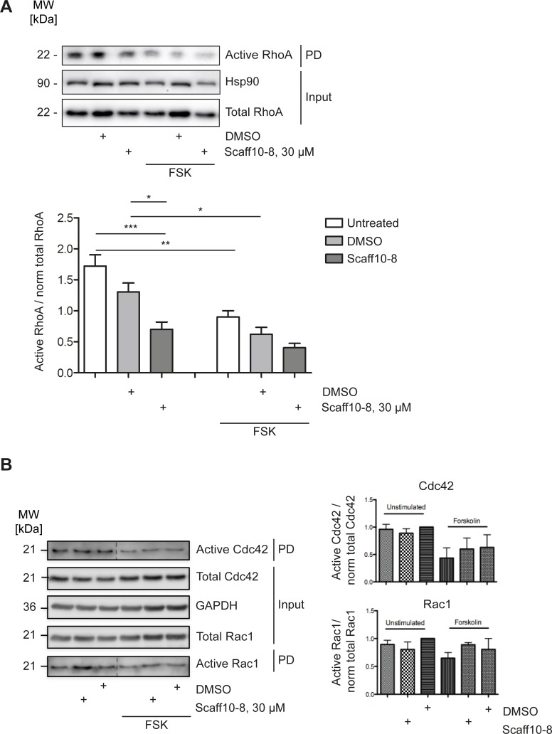 Fig 10