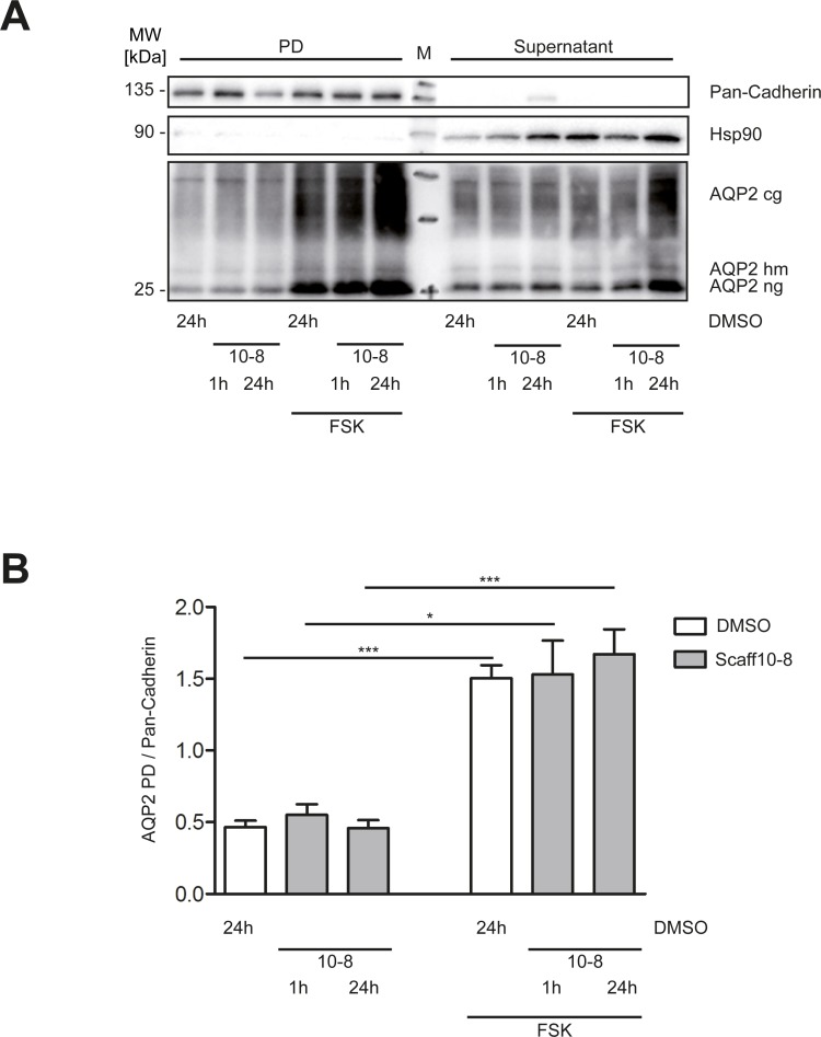 Fig 9