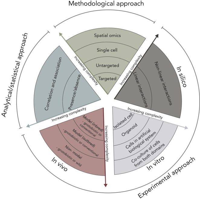 Figure 2