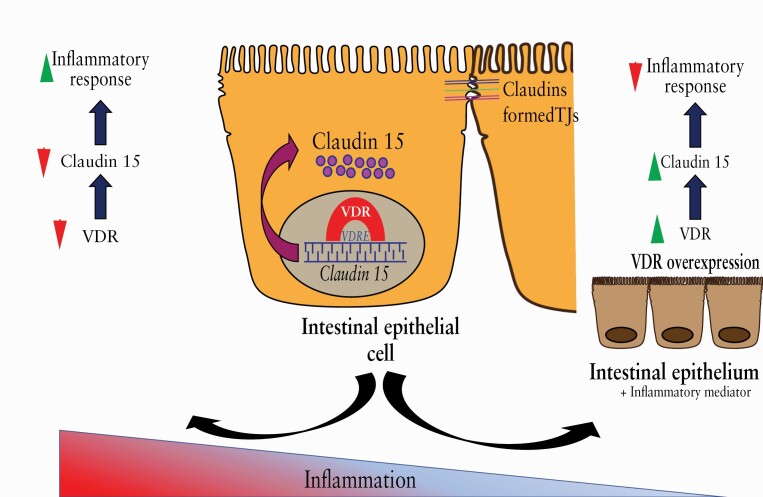 Graphical Abstract