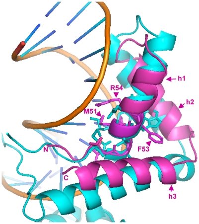 Figure 5