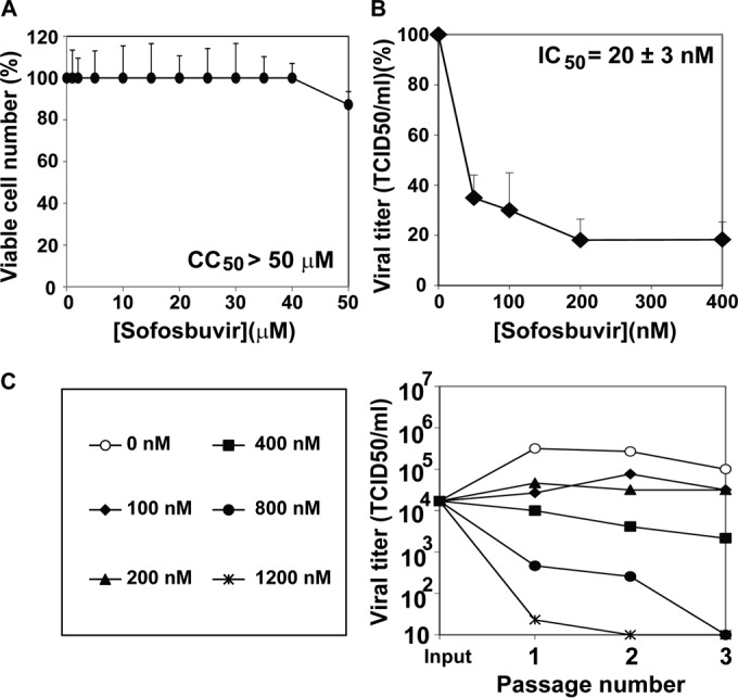 FIG 1