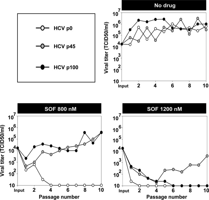 FIG 2