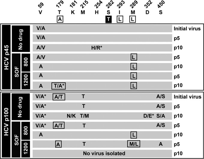 FIG 3