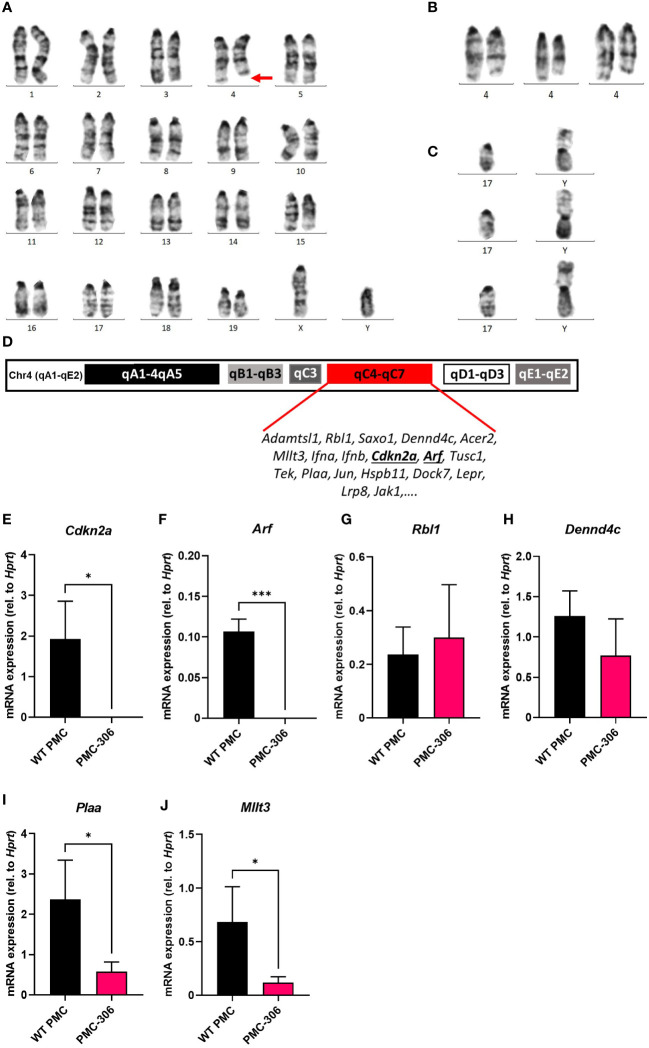 Figure 6