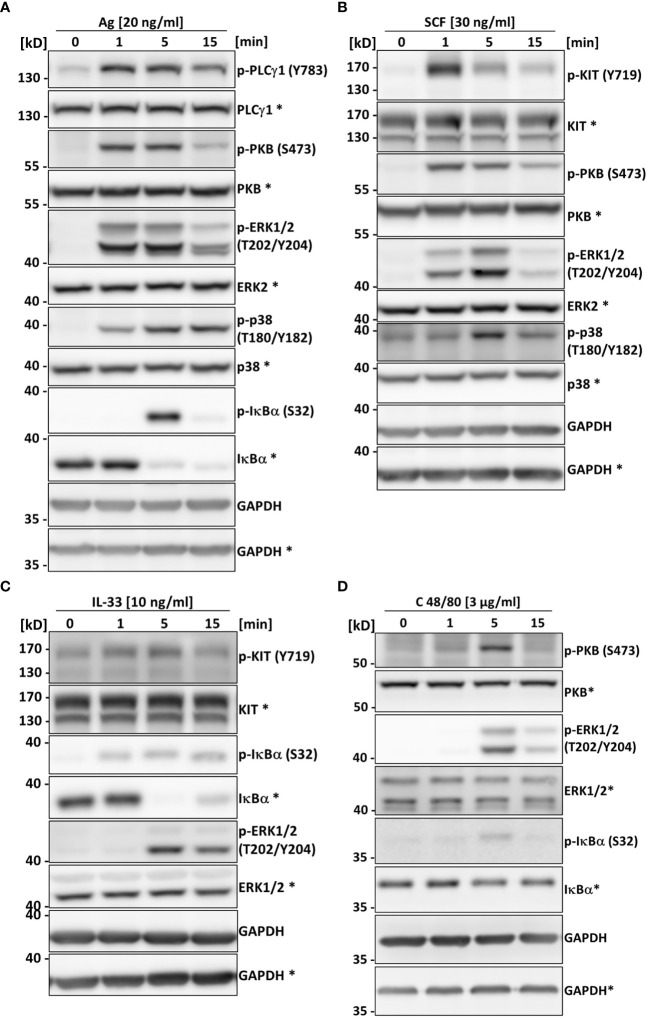 Figure 4