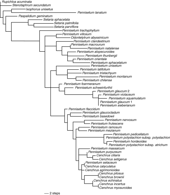 Fig. 2.