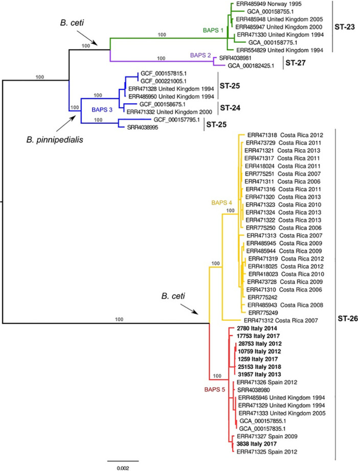 Fig 3