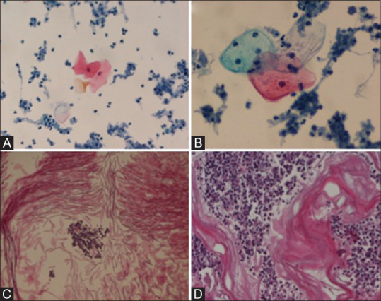 Figure 5(A-D)