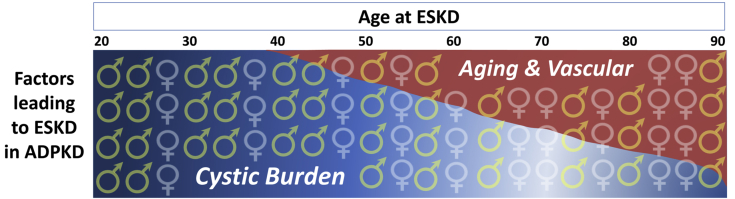 Figure 5