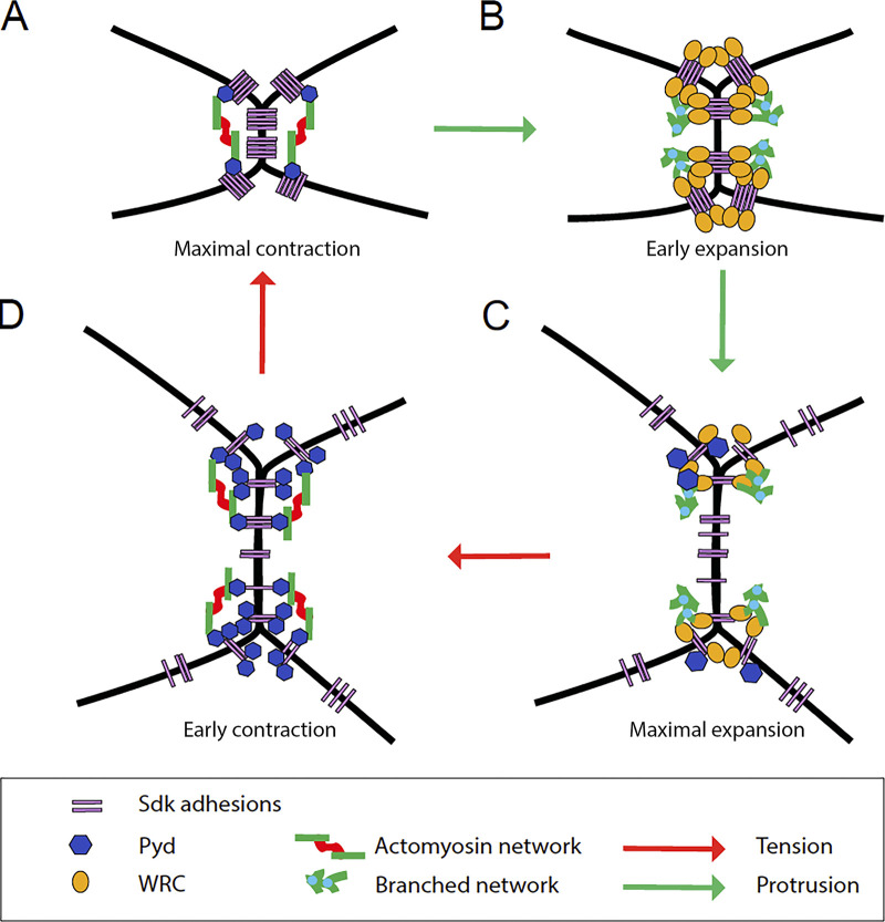 Figure 9.