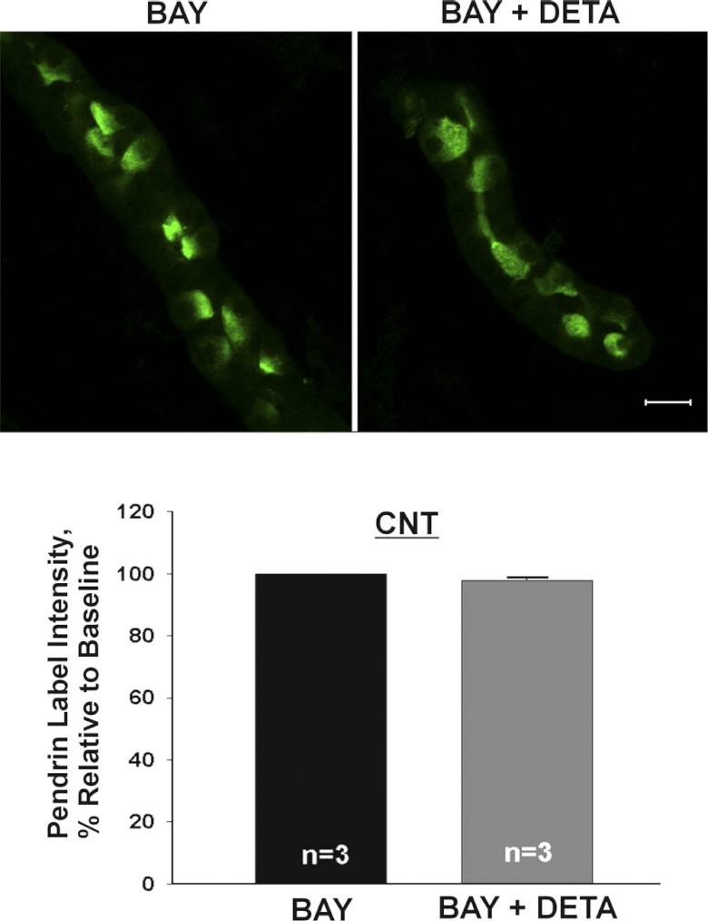 Fig. 9.