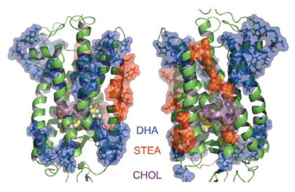 Fig. 4