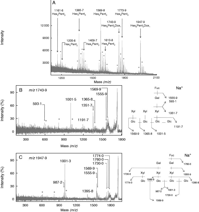 Fig. 6.