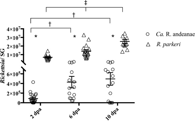 FIG 2