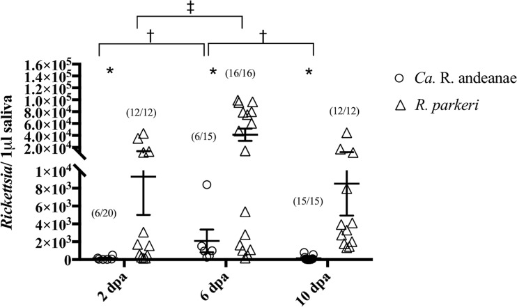 FIG 1