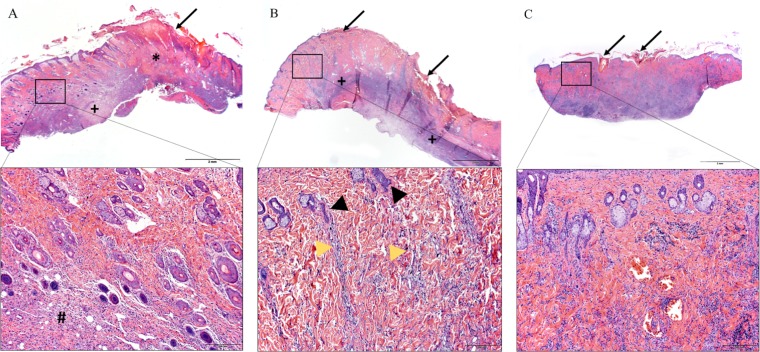 FIG 6