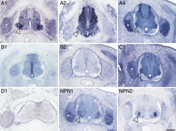 Figure 7