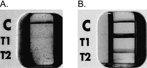 Fig. 1.